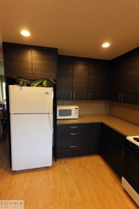 San_Clemente_Modern_kitchen_Sophia_Cabinets_in_Carbone00019