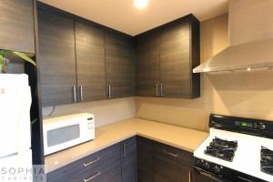 San_Clemente_Modern_kitchen_Sophia_Cabinets_in_Carbone00023