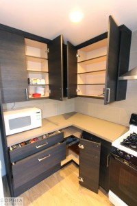 San_Clemente_Modern_kitchen_Sophia_Cabinets_in_Carbone00028