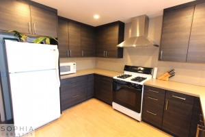 San_Clemente_Modern_kitchen_Sophia_Cabinets_in_Carbone00030