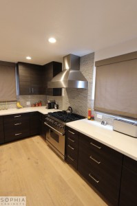 Sophia_Line_cabinets_Modern_contemporary_style_kitchen_long_beach00007