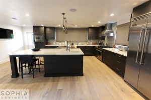 Sophia_Line_cabinets_Modern_contemporary_style_kitchen_long_beach00020