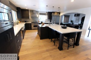 Sophia_Line_cabinets_Modern_contemporary_style_kitchen_long_beach00027